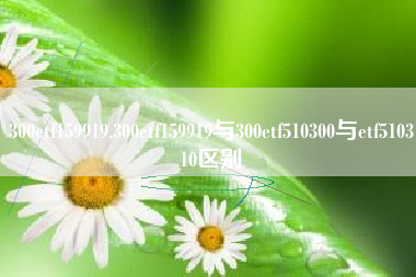 300etf159919,300etf159919与300etf510300与etf510310区别