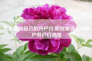 怎么查询自己的开户行,如何查询公司账户开户行地址