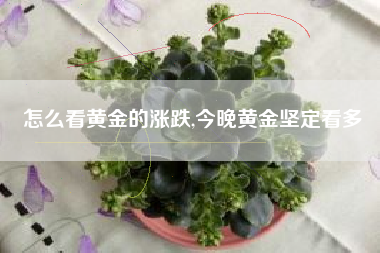 怎么看黄金的涨跌,今晚黄金坚定看多