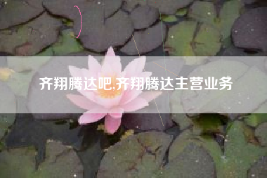 齐翔腾达吧,齐翔腾达主营业务