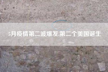 5月疫情第二波爆发,第二个美国诞生