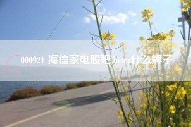 000921 海信家电股吧,hiser什么牌子
