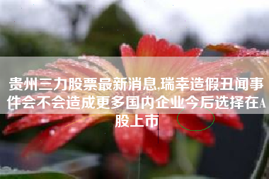 贵州三力股票最新消息,瑞幸造假丑闻事件会不会造成更多国内企业今后选择在A股上市