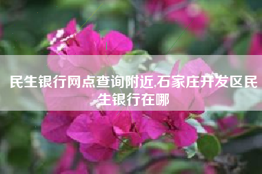 民生银行网点查询附近,石家庄开发区民生银行在哪