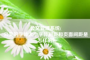 公文管理系统(
公文的字体大小字体间距和页面间距是怎样的) 公文管理系统(
公文的字体大小字体间距和页面间距是怎样的)