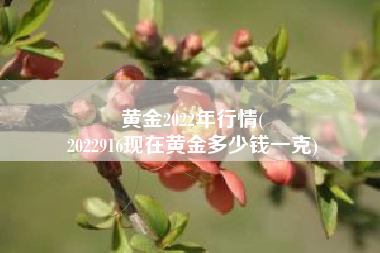 黄金2022年行情(
2022916现在黄金多少钱一克) 黄金2022年行情(
2022916现在黄金多少钱一克)