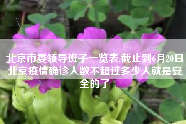 北京市委领导班子一览表,截止到6月20日北京疫情确诊人数不超过多少人就是安全的了