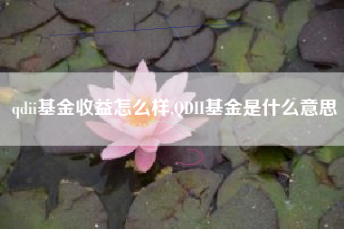 qdii基金收益怎么样,QDII基金是什么意思