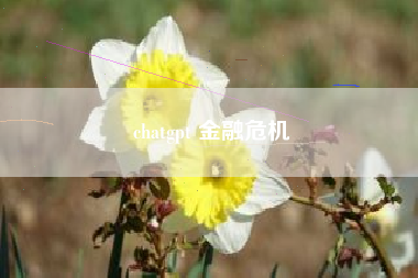 chatgpt 金融危机