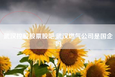 武汉控股股票股吧,武汉燃气公司是国企吗