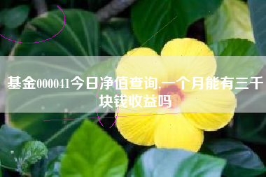 基金000041今日净值查询,一个月能有三千块钱收益吗