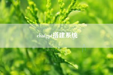 chatgpt搭建系统