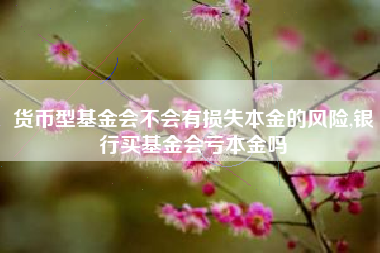 货币型基金会不会有损失本金的风险,银行买基金会亏本金吗
