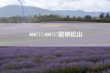 000717,000717韶钢松山