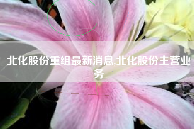 北化股份重组最新消息,北化股份主营业务