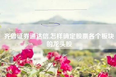 齐鲁证券通达信,怎样确定股票各个板块的龙头股