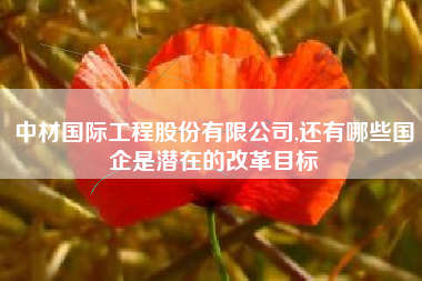 中材国际工程股份有限公司,还有哪些国企是潜在的改革目标