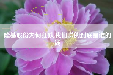 隆基股份为何狂跌,我们赚的到底是谁的钱