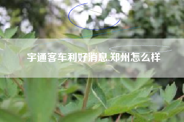 宇通客车利好消息,郑州怎么样