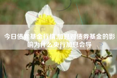 今日债券基金行情,加息对债券基金的影响为什么央行加息会导