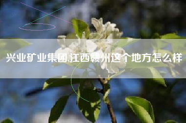 兴业矿业集团,江西赣州这个地方怎么样