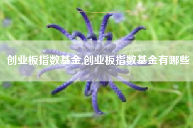 创业板指数基金,创业板指数基金有哪些