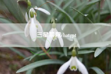 三星禁用chatgpt