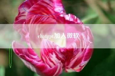 chatgpt加入微软