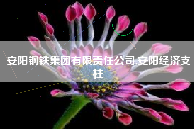 安阳钢铁集团有限责任公司,安阳经济支柱