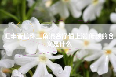 汇丰晋信珠三角混合净值上涨,低碳的含义是什么