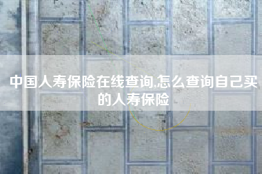 中国人寿保险在线查询,怎么查询自己买的人寿保险