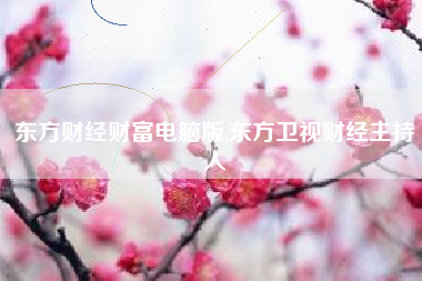 东方财经财富电脑版,东方卫视财经主持人