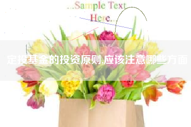 定投基金的投资原则,应该注意哪些方面