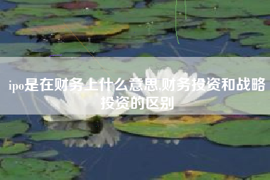 ipo是在财务上什么意思,财务投资和战略投资的区别