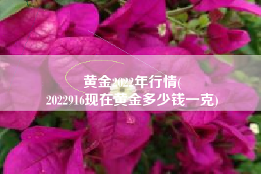 黄金2022年行情(
2022916现在黄金多少钱一克) 黄金2022年行情(
2022916现在黄金多少钱一克)