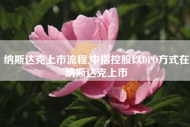 纳斯达克上市流程,中指控股以DPO方式在纳斯达克上市