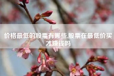 价格最低的股票有哪些,股票在最低价买才赚钱吗
