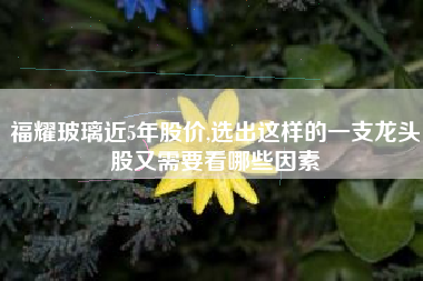 福耀玻璃近5年股价,选出这样的一支龙头股又需要看哪些因素