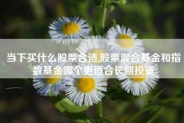 当下买什么股票合适,股票混合基金和指数基金哪个更适合长期投资