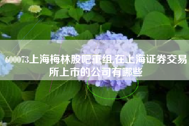 600073上海梅林股吧重组,在上海证券交易所上市的公司有哪些