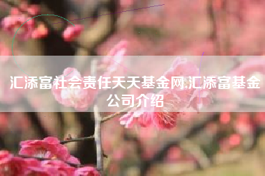 汇添富社会责任天天基金网,汇添富基金公司介绍