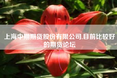 上海中期期货股份有限公司,目前比较好的期货论坛