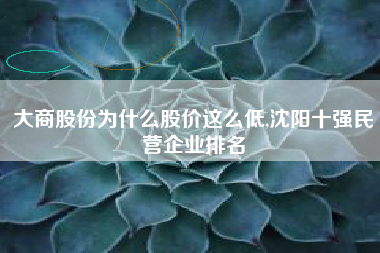 大商股份为什么股价这么低,沈阳十强民营企业排名