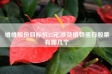维维股份目标价27元,涉及植物蛋白股票有哪几个