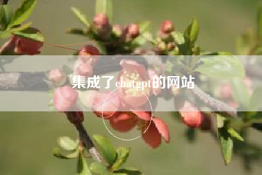 集成了chatgpt的网站
