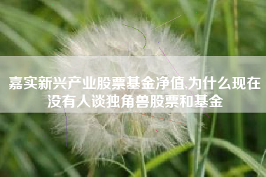 嘉实新兴产业股票基金净值,为什么现在没有人谈独角兽股票和基金
