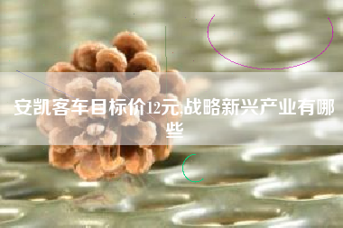 安凯客车目标价12元,战略新兴产业有哪些