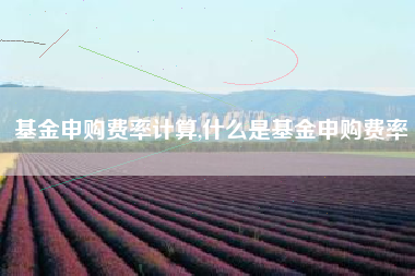基金申购费率计算,什么是基金申购费率