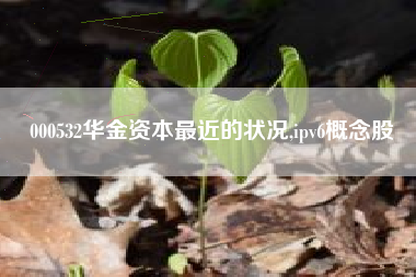 000532华金资本最近的状况,ipv6概念股