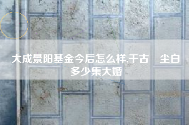 大成景阳基金今后怎么样,千古玦尘白玦多少集大婚